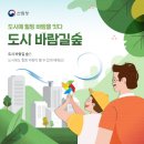 도시;숲;그리고 이미지