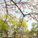 용산가족공원 주차장 화장실 이미지
