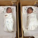 배넷머리 - 구미시 | [육아 회고-1]자연임신 쌍둥이맘의 임신일기와 출산 후기👶👶