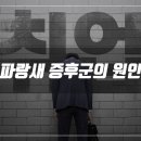 파랑새의원 이미지