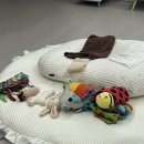 의왕 안양 참사랑어머니회 후기(관리사님 왕추천!)