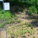 섭이농장 이미지