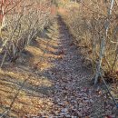 아침햇살 이미지