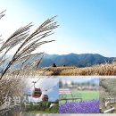 증산농산물판매장 이미지