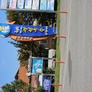 칠보국시 | 옥천 청산 국수거리 칠보국시집 방문 후기