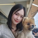 경포대브런치 강문해변카페 애견 동반 가능 에펠루아 방문 후기