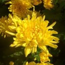 번개PC방 이미지