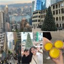 소호 숲 | 홍콩 3박4일 1일차 (헐리우드로드, 소호, 빅토리아피크, 나이트투어)