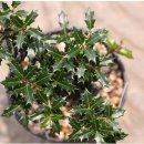 향호농장 이미지