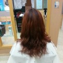 이가을헤어 | 가을의 여신 전유물 셋팅펌&레드와인 시술 인천 용현동 미용실 제니헤어 시술 후기입니다!!!