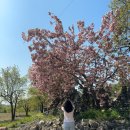 바랑산 | [풍류도 소식]풍류도 청년 리더쉽 04월 합숙 후기 | 국악 성장 합숙 | 예술인성영재 | 풍류도 예술원