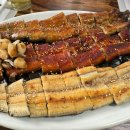 황강장어 이미지