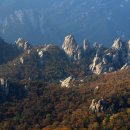 용소숲속민박 이미지