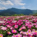 신원면-37 이미지