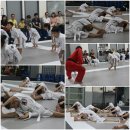 타이거합기도 이미지