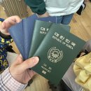 하얏트리젠시제주 | 5월 괌 4박 5일 아이랑 여행 (인천공항/하얏트리젠시/TGI/돌핀크루즈/호텔수영장/클럽라운지/PIC서커스)