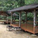 비슬리조트 이미지