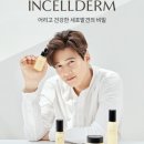 선한 인셀덤 이미지
