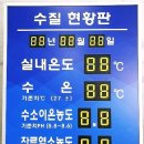 동군산농협 성산지점 이미지