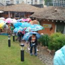 대구대서초등학교 이미지