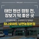 남면농협 하나로마트 | 태안 펜션 캠핑 장보기 좋은 하나로마트 남면농협본점
