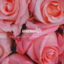 유튜버 꿈나무 이미지