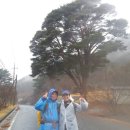 섬진강어울펜션 이미지