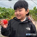 녹전초등학교병설유치원 이미지