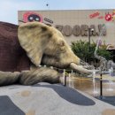 동대구역 복합환승센터 이미지