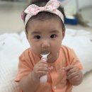 이지앤패스 | 초기 이유식 준비물, 다 사지 마세요 | 아빠가 직접 사본 10가지 솔직후기