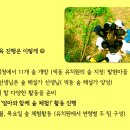 색동유치원 이미지