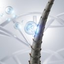 우리피부과의원 이미지