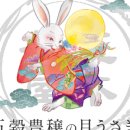 차야(chaya)