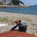 바다마을사람들 Daum카페