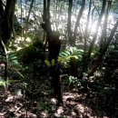 제주휴가 이미지