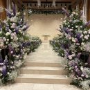 웨딩팰리스 이미지