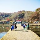 하마캠핑장 이미지