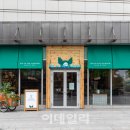 더피그 이미지