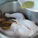 사계절삼계탕 이미지