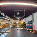 영바디짐 이미지