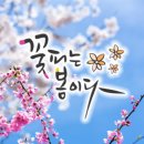봄이네 이미지