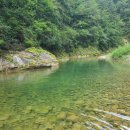 덕산기의아침 | 덕산기 계곡 트레킹