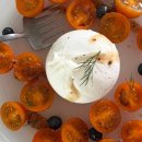 플랜티풀랜드 이미지