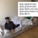 Pinocchio-3 이미지