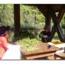 강남-007 이미지