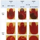 루캐피 쿠키뉴스