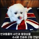 스타인호텔 이미지
