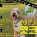 행복한 멍냥이 이미지