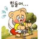 조롱산. 소목봉. 동봉 이미지