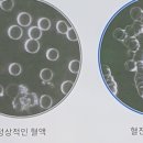 템프업플러스